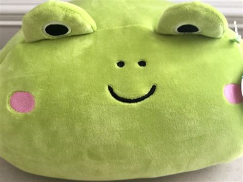 Discover the Magic of the Witch Hat Frog Plushie Squishmallow